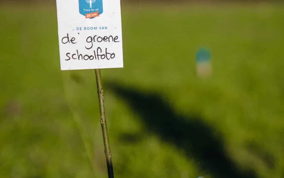 Met de laarzen in de modder: zo planten we elk jaar onze bomen